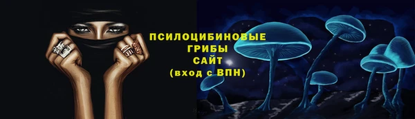 прущая мука Арсеньев