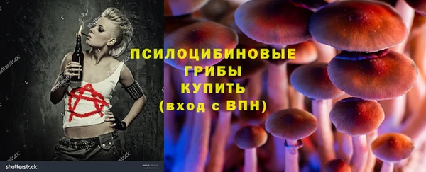 эйфоретик Аркадак